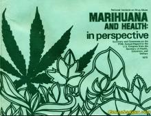 Firty Years a Medical Marijuana Patient in Wisconsin
